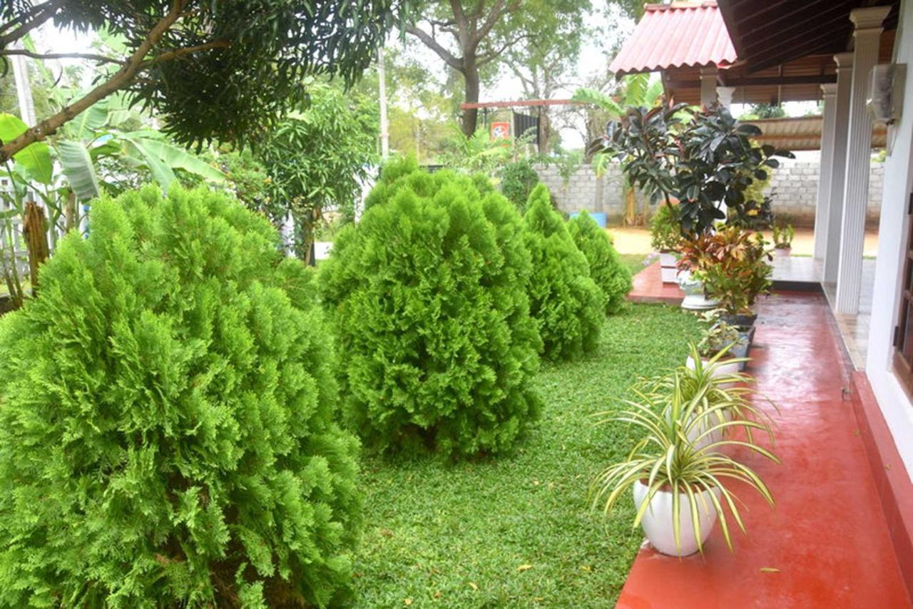 wilpattu Lakwin Guest Hotel Pahala Maragahawewa Bagian luar foto