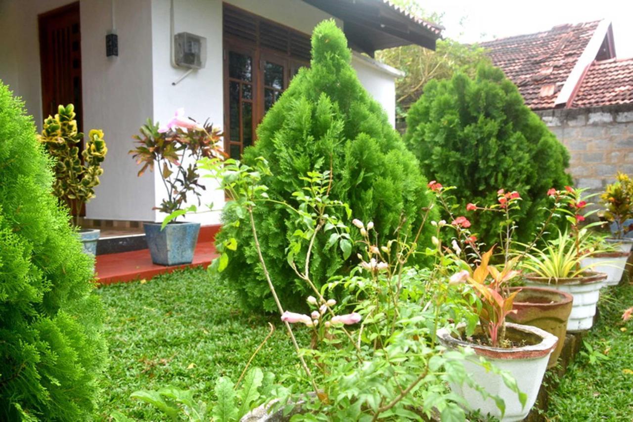 wilpattu Lakwin Guest Hotel Pahala Maragahawewa Bagian luar foto